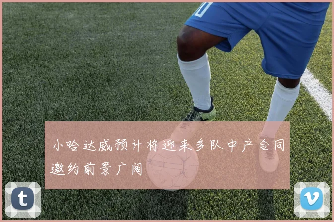 小哈达威预计将迎来多队中产合同邀约前景广阔