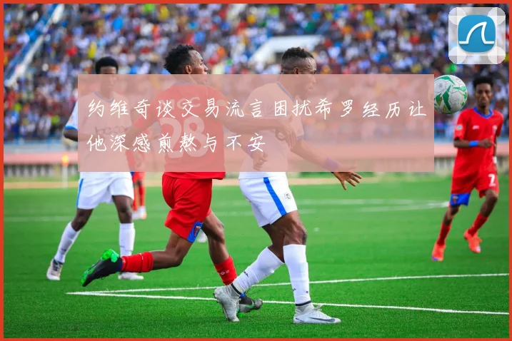 约维奇谈交易流言困扰希罗经历让他深感煎熬与不安
